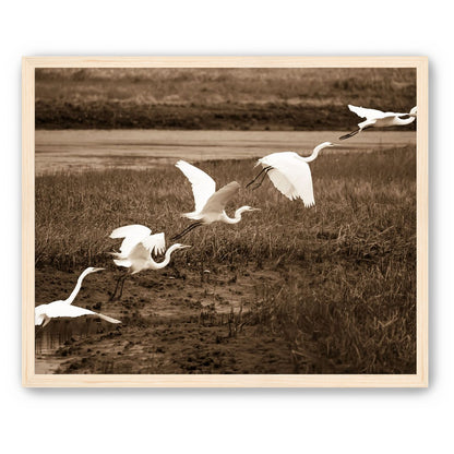 In Flight