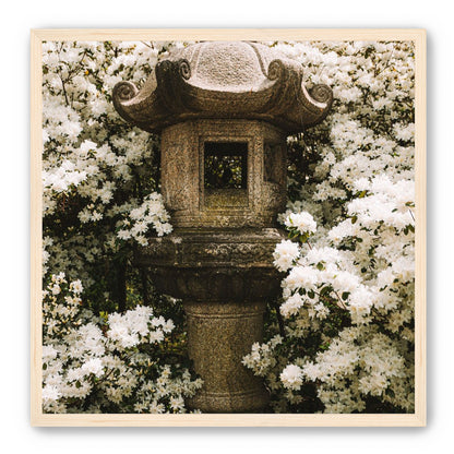 Temple of White Flowers