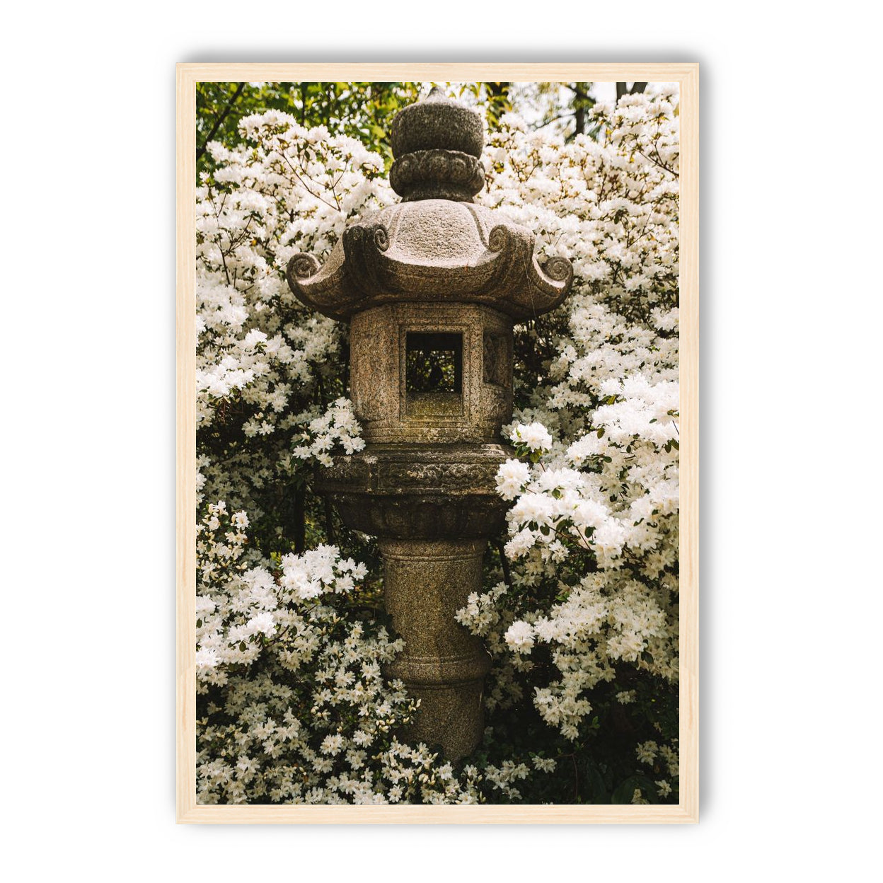 Temple of White Flowers