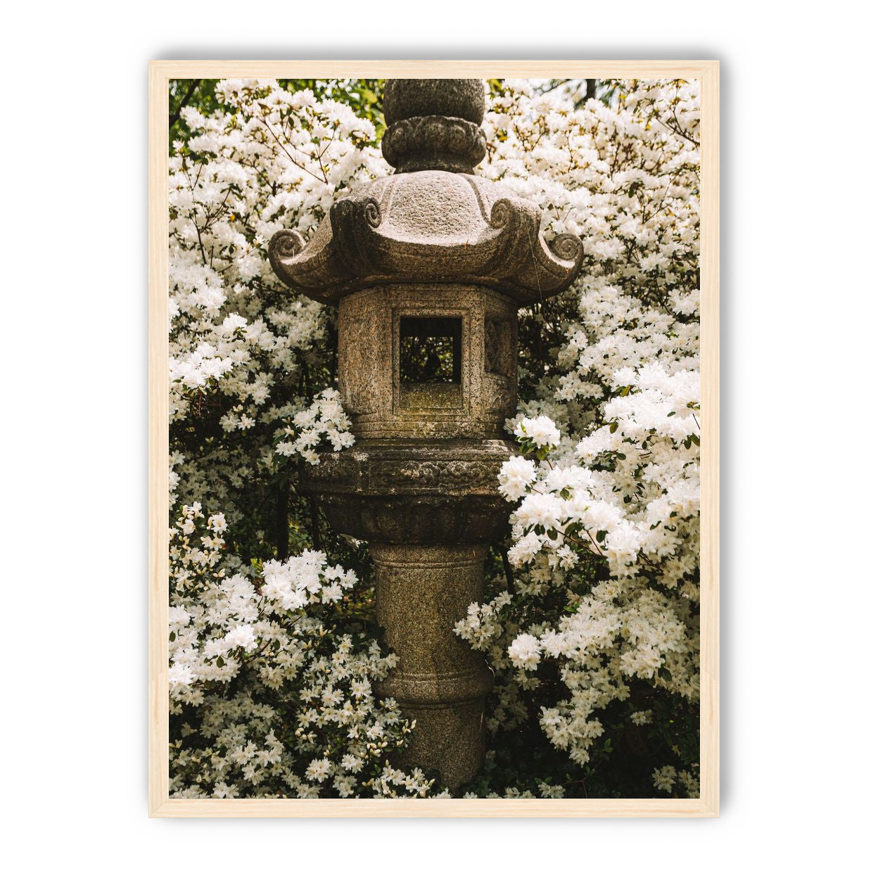 Temple of White Flowers