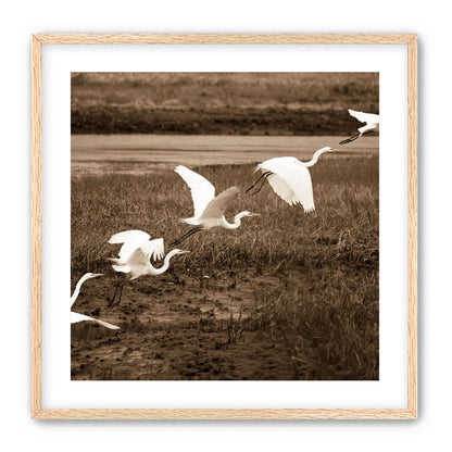 In Flight