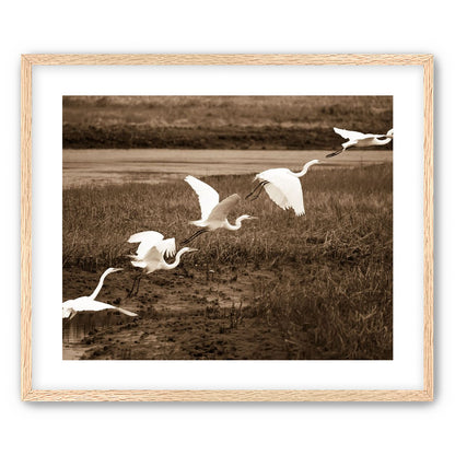 In Flight