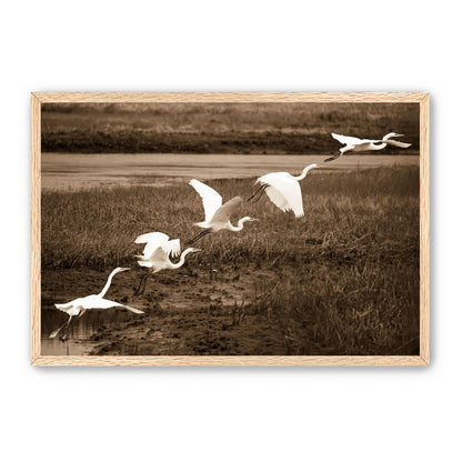 In Flight