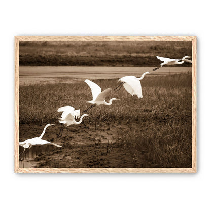 In Flight