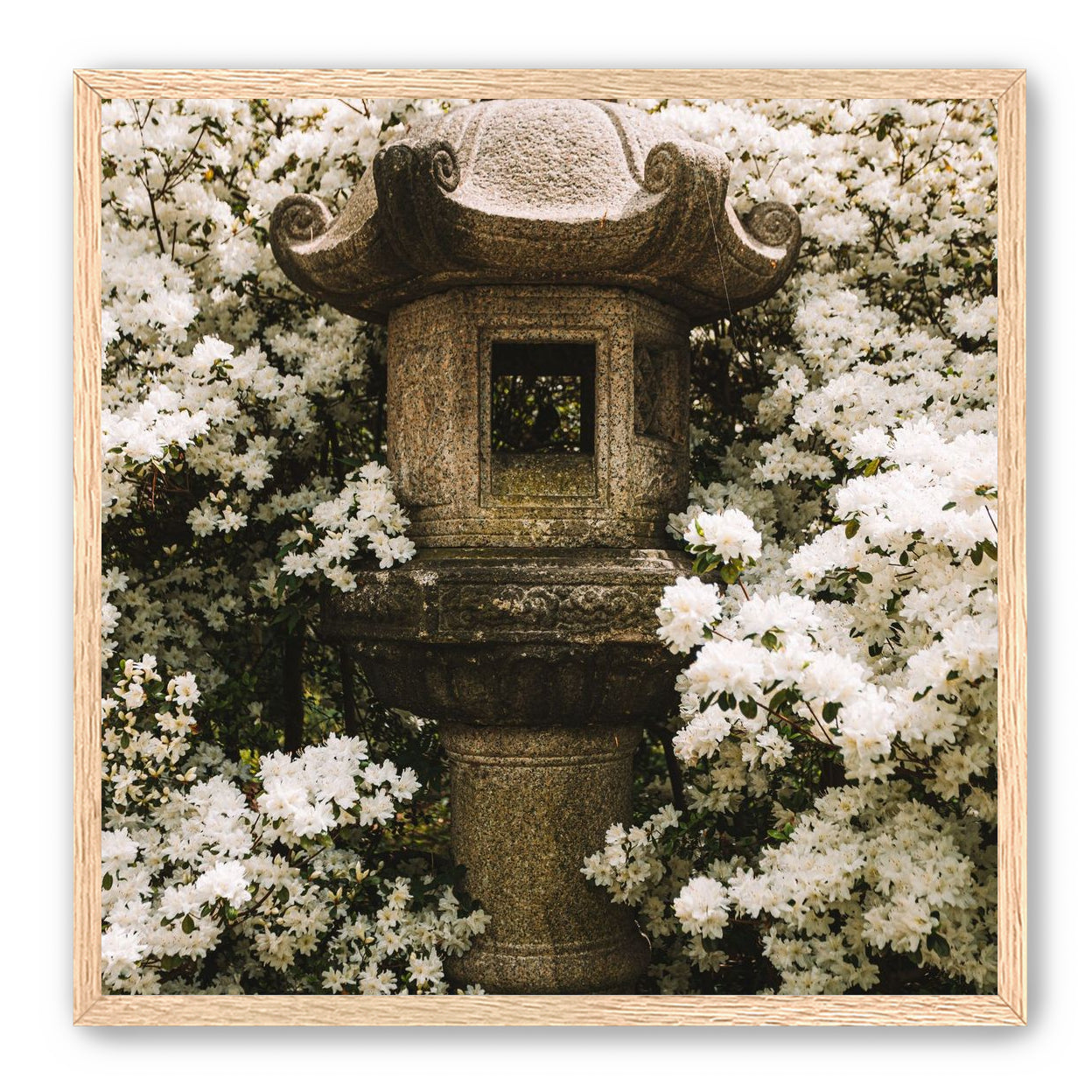 Temple of White Flowers