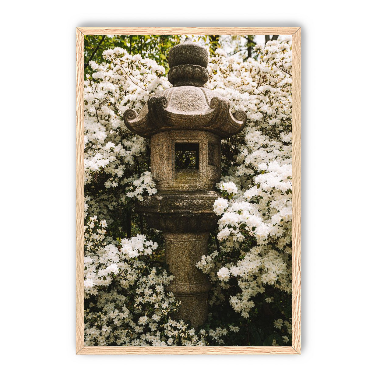 Temple of White Flowers