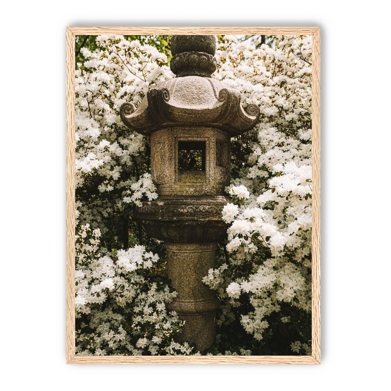 Temple of White Flowers