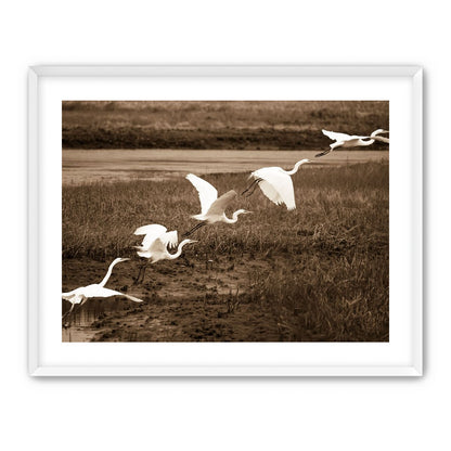 In Flight