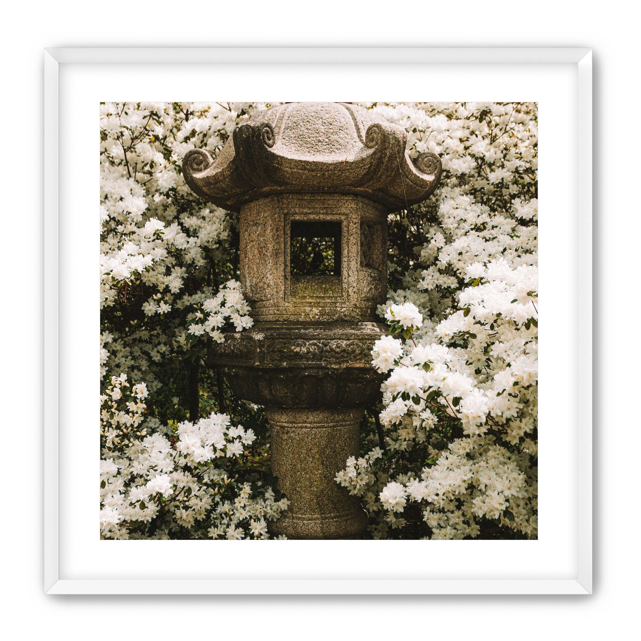 Temple of White Flowers