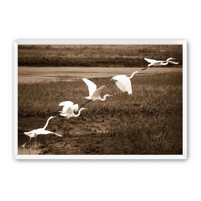 In Flight