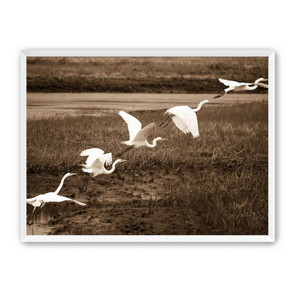 In Flight