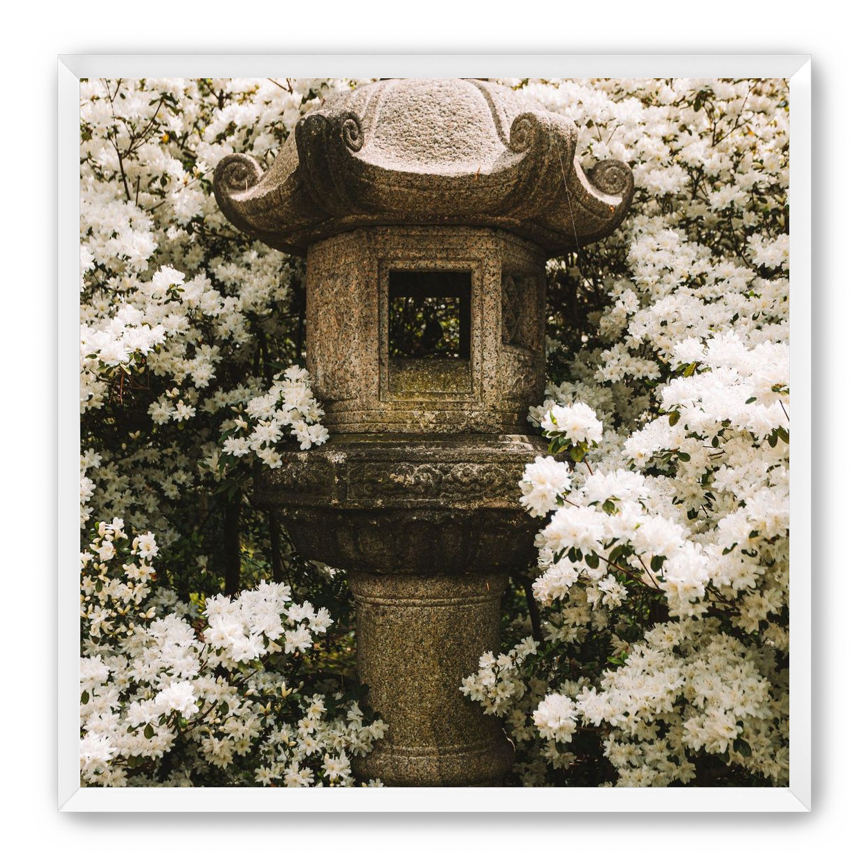 Temple of White Flowers