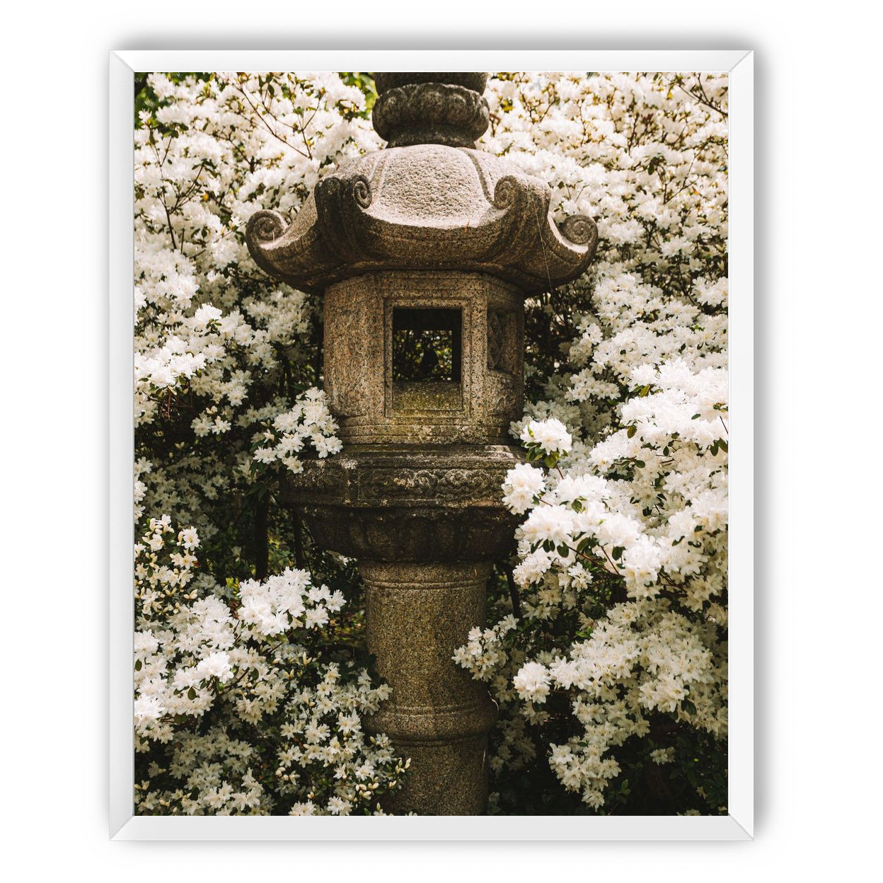 Temple of White Flowers