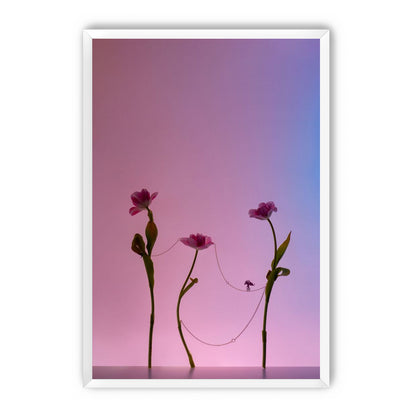 In-between Circus 1